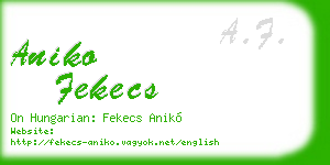 aniko fekecs business card